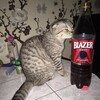 Логотип телеграм канала @zapah_proshlog0 — запах прошлого