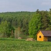 Логотип телеграм канала @zapovedbudni — Девушка и Лес 🌱
