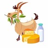 Логотип телеграм канала @zarsoap — ЗАРАЙСКИЙ МЫЛОВАРЬ И КОЗОВОД