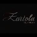 Logo saluran telegram zartola — Zartola Gilamlari