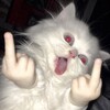 Логотип телеграм канала @zaruk1twitch — Пивной zaruk1