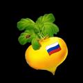 Telegram channel Подставный 💤 logo