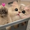 Логотип телеграм канала @zaton_lov — в затоне любят