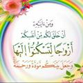 لوگوی کانال تلگرام zawagmoslem — وَجَعَلَ بَيْنَكُم مَّوَدَّةً وَرَحْمَةً