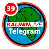 Логотип телеграм канала @zayavkiizineta — КЛИЕНТЫ ИЗ ИНТЕРНЕТА | WEBSANSAY
