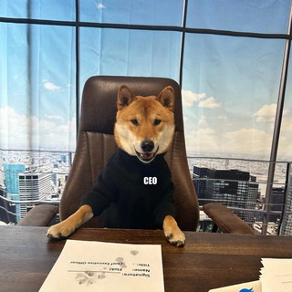 Логотип телеграм канала @zaymaxmusic — ZAYMAX_MUSIC