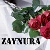 Telegram kanalining logotibi zaynuraxasanova — ЗАЙНУРА ҲАСАНОВА шеърияти