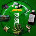 Logo saluran telegram zazaplug0 — Zaza Plug 🔌 🍃💨⛽️