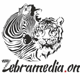 Логотип телеграм канала @zebra_media — Информационное Агенство "Зебра-Медиа"