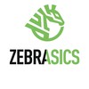 Логотип телеграм канала @zebrasics — Zebrasics Official