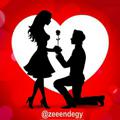 Logo saluran telegram zeeendegy — کانال محافظ ۱