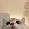 Логотип телеграм канала @zefupkaaa — игры от зеф