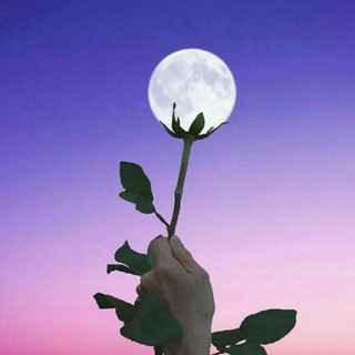 لوگوی کانال تلگرام zehre_qamr — ♥زﮪـہـڕهہ ا̍آڷــڦہــمۘــہڔ❀