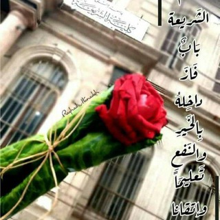 لوگوی کانال تلگرام zein_alislam — صفاء الروح💙