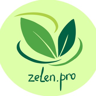 Логотип телеграм канала @zelenpro_ufa — Zelen.Pro - гранты, субсидии, бизнес