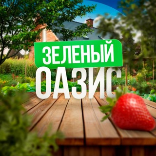 Логотип телеграм канала @zeloasis — Зелёный Оазис - Сад и Огород круглый год