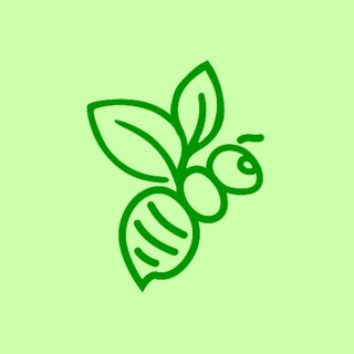 Логотип телеграм канала @zelpaseka — Зелёная пасека