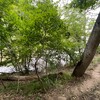 Логотип телеграм канала @zemlya_bg — ЗЕМЛЯ | УЧАСТКИ НА ЮГЕ