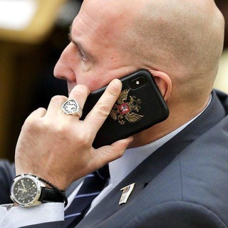 Логотип телеграм канала @zemtsovn — Николай Zемцов