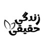 لوگوی کانال تلگرام zendegihaghighii — zendegi.haghighii