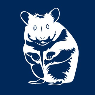 Логотип телеграм канала @zenhamster — Хомяк в дзене