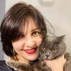 Логотип телеграм канала @zensovet1 — ЖЕНСОВЕТ