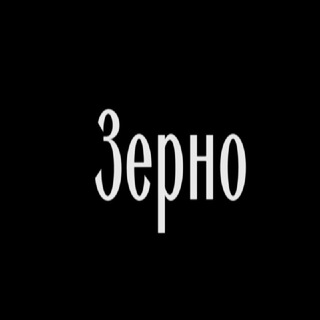 Логотип телеграм канала @zerno_poject — Зерно