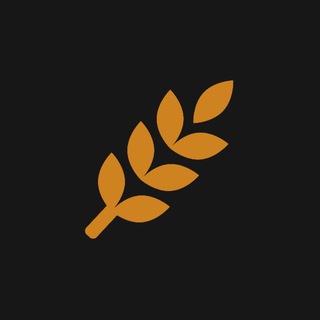 Логотип телеграм канала @zerno_project — Зерно