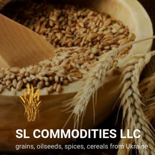 Логотип телеграм канала @zernovie — SL COMMODITIES LLC Зерно закупка просо кориандр горох чечевица лен закупка ниши ниша сорго millet export
