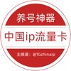 电报频道的标志 zgip88 — 中国ip 中国流量卡（全球通用）