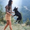 Логотип телеграм канала @zhannadoglover — Я СОБАЧНИК // воспитание и дрессировка