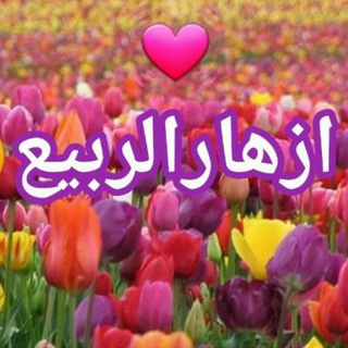 لوگوی کانال تلگرام zhar_rbya — 🍃🌷أزهار الربيع🌷🍃