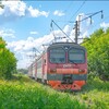 Логотип телеграм канала @zhdashniki52 — Ждшники ТЧ-7