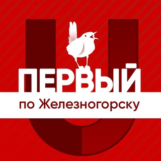 Логотип телеграм канала @zheleznogorskone — Первый по Железногорску
