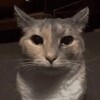 Логотип телеграм канала @zhenskistendap — Плохие Мемы