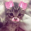 Telegram channel 𝑺𝒕𝒂𝒇 𝒕𝒓𝒐𝒎 𝒘𝒉𝒆𝒏𝒖𝒂🍭 logo