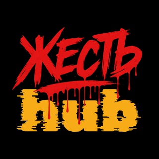 Логотип телеграм канала @zhest_hub — Жесть hub (по жести) 🪓