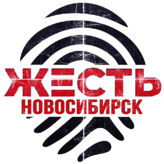 Логотип телеграм канала @zhest_novosibirsk — Жесть Новосибирск | Новости