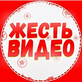 Логотип телеграм канала @zhest11 — Жесть | Треш 18 