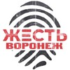 Логотип телеграм канала @zhest_voronezh136 — Жесть Воронеж