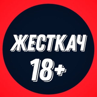 Логотип телеграм канала @zhestkach — Жесткач | Trаsh Video