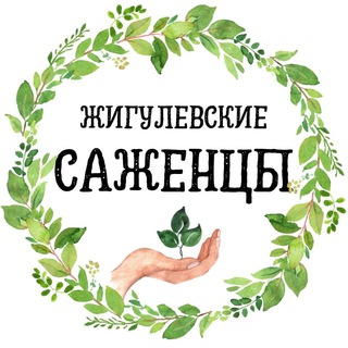 Логотип телеграм канала @zhigulevskiesazhentsi — Питомник растений Жигулевские саженцы с. Александровка 🌱
