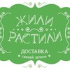 Логотип телеграм канала @zhilirastili — Жили-Растили 🥦🍅