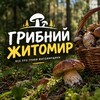 Логотип телеграм -каналу zhitomir0 — Грибники Житомирщини