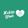 Логотип телеграм канала @zhivaya_dusha_vanino — Приют для собачек💚ЖИВАЯ ДУША💚 ВАНИНО