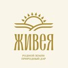Логотип телеграм канала @zhiveya123 — ЖИВЕЯ🌱Масла холодного отжима