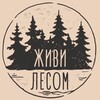 Логотип телеграм канала @zhivi_lesom — Живи Лесом
