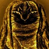 Логотип телеграм канала @zhizazhopakotlas228 — Жиза Котласская