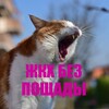 Логотип телеграм канала @zhkh_news — ЖКХ без пощады