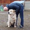 Логотип телеграм канала @zhukovskypavel — bablos79
